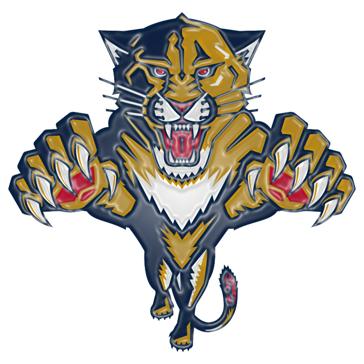 Florida Panthers Plastic Effect Logo iron on paper